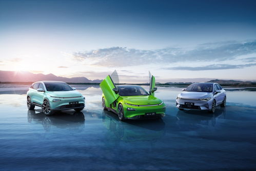 碧桂园文商旅碧虎杯3V3篮球赛跨界落地碧家国际社区 创新融合体育运动与汽车消费