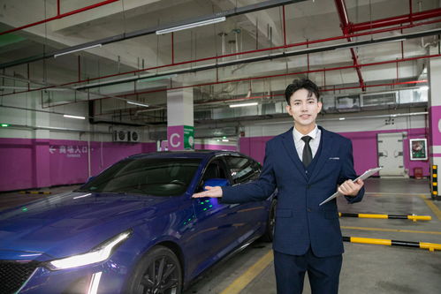 专业汽车销售顾问 商务车与豪车销售的艺术与摄影